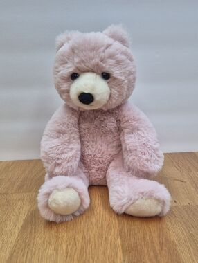 Aurora Pink Teddy Bear(super soft)